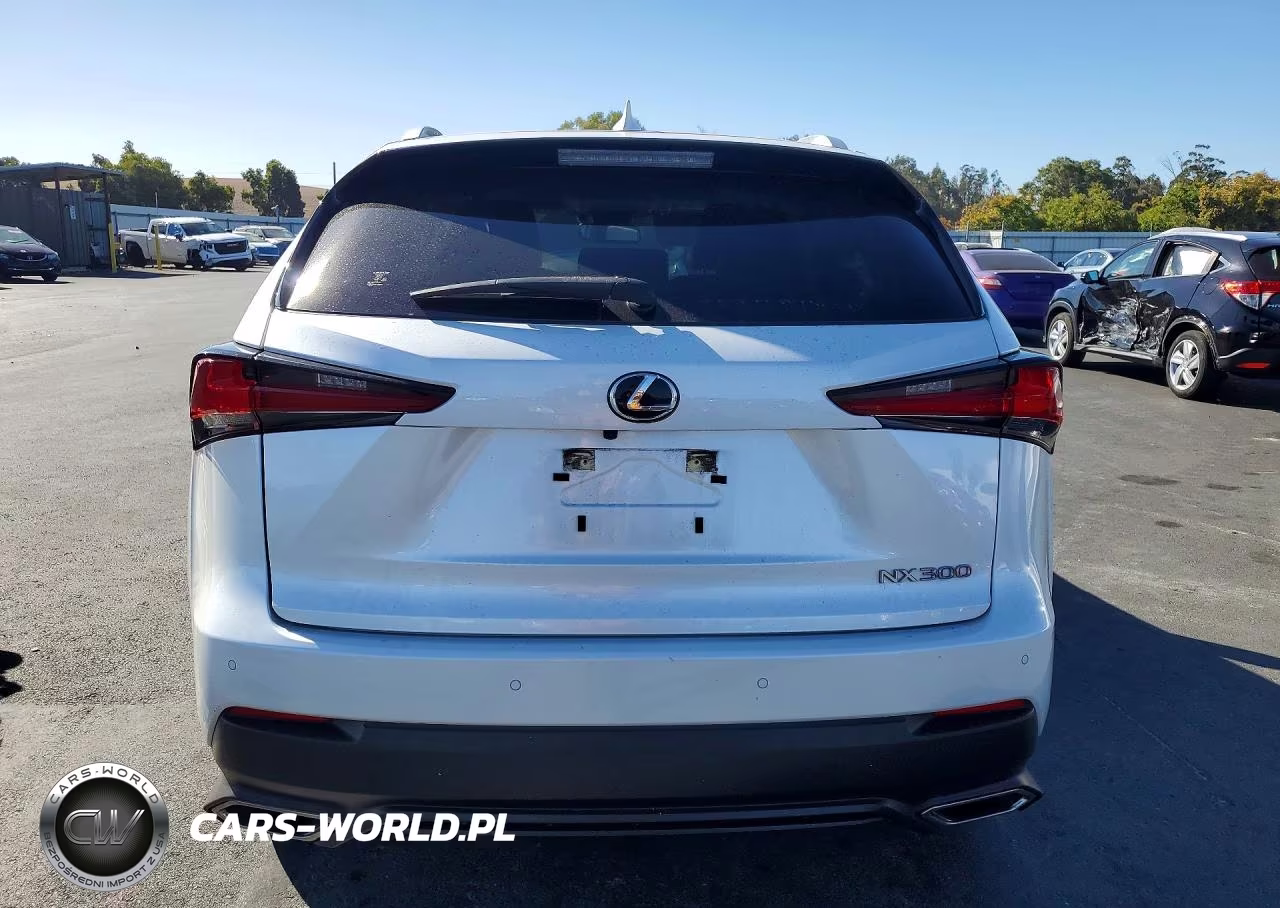 2021 Lexus Nx 300 Base VIN:JTJGARDZXM5031836 - 6