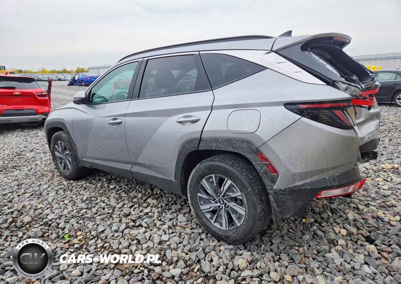 2023 Hyundai Tucson Blue VIN:KM8JBCA10PU109922 - 2