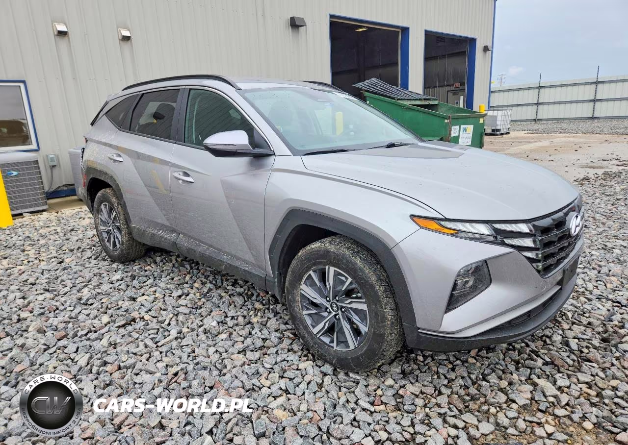 2023 Hyundai Tucson Blue VIN:KM8JBCA10PU109922 - 4