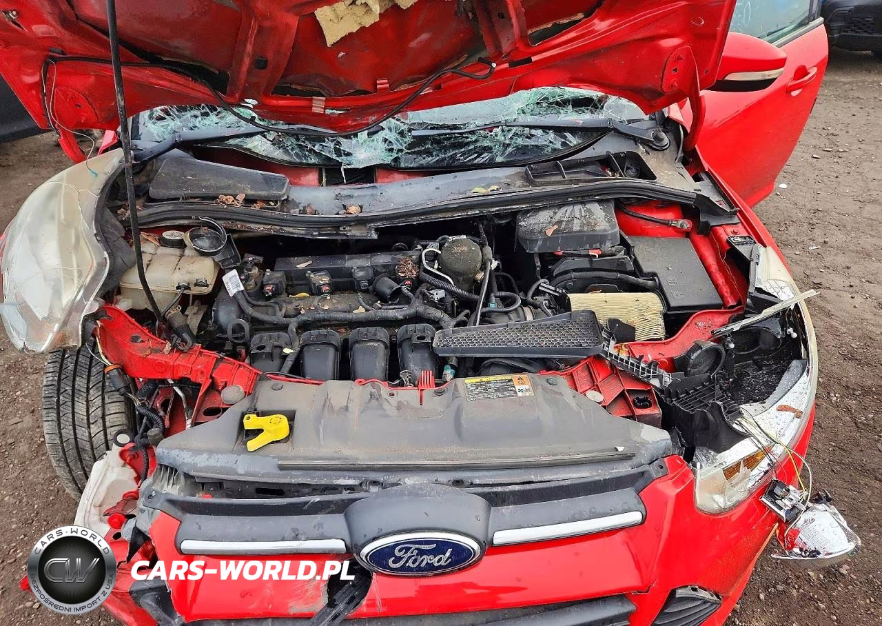 2013 Ford Focus Se VIN:1FADP3K2XDL255732 - 11