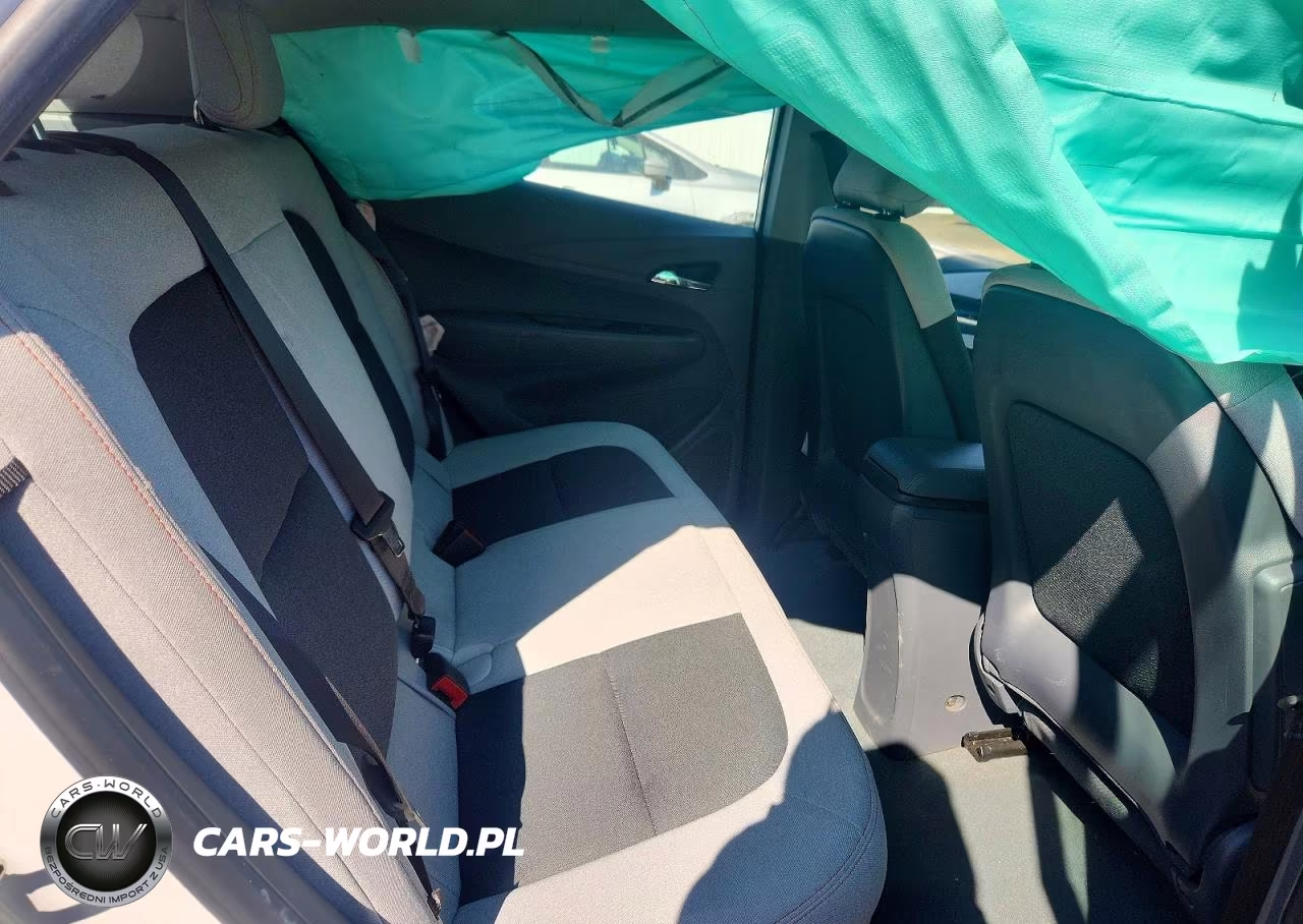 2019 Chevrolet Bolt Ev Lt VIN:1G1FY6S09K4132374 - 10