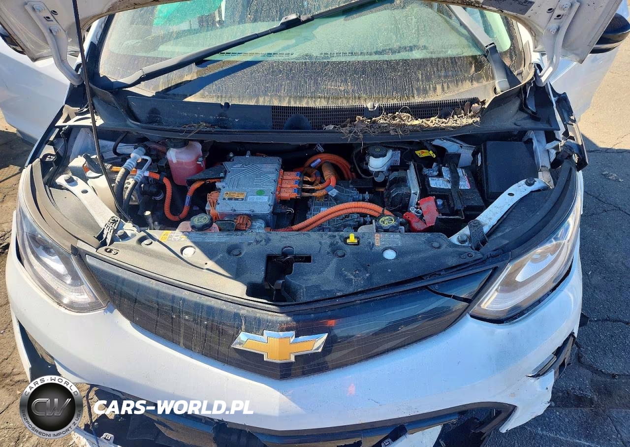 2019 Chevrolet Bolt Ev Lt VIN:1G1FY6S09K4132374 - 11