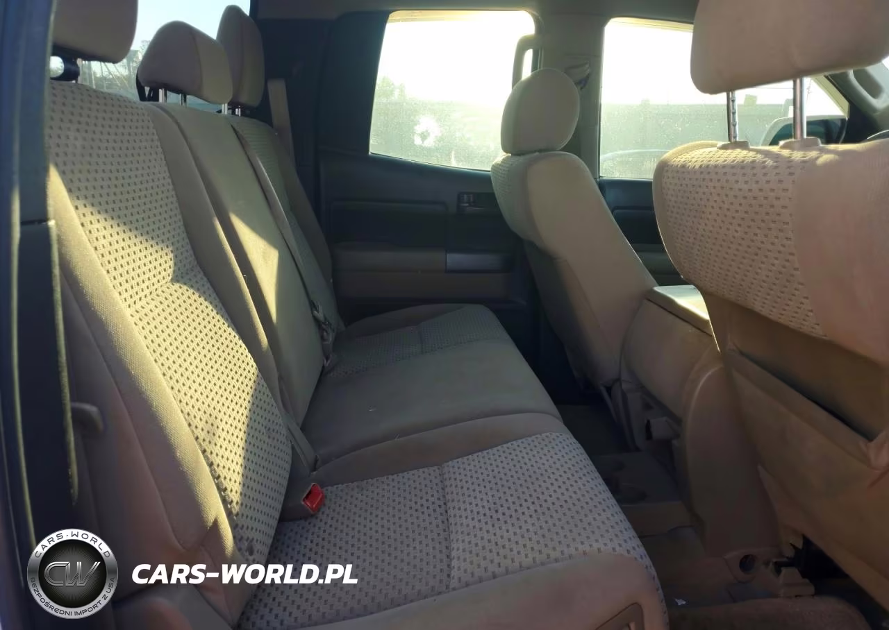 2010 Toyota Tundra Double Cab Sr5 VIN:5TFUW5F1XAX153717 - 10