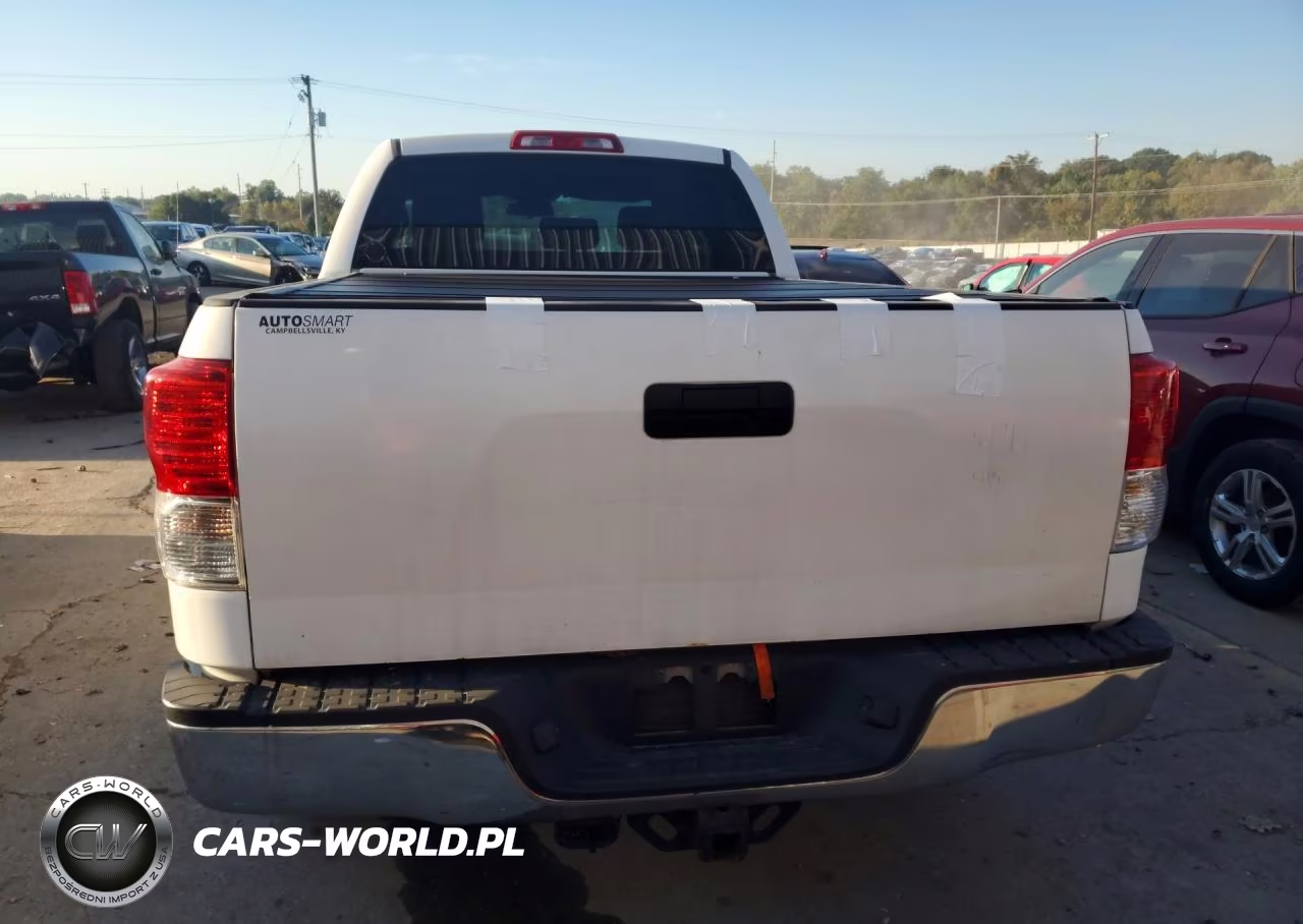 2010 Toyota Tundra Double Cab Sr5 VIN:5TFUW5F1XAX153717 - 6