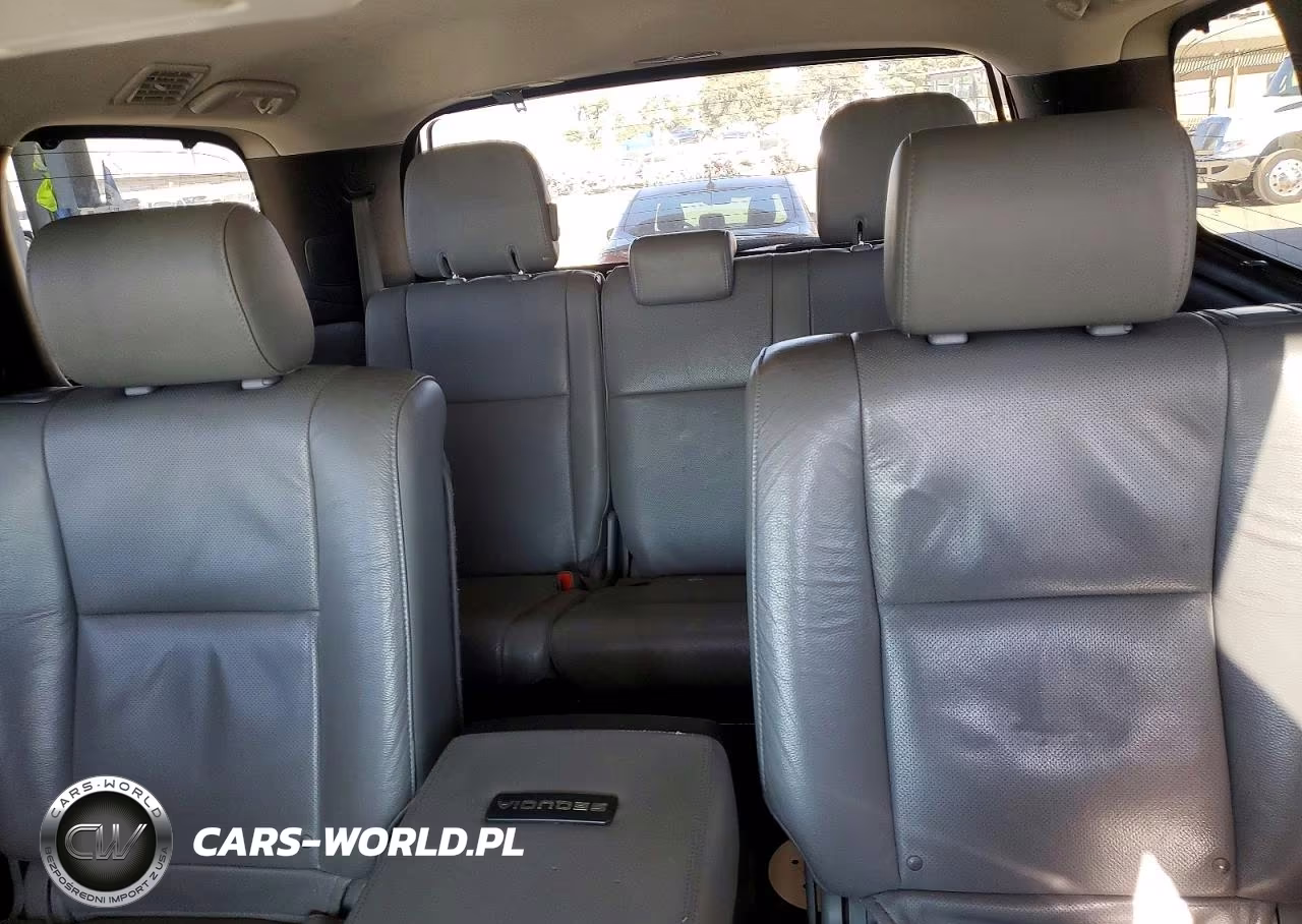 2017 Toyota Sequoia Platinum VIN:5TDDY5G11HS154649 - 10