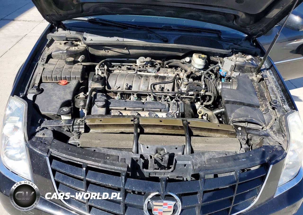 2010 Cadillac Dts Luxury Collection VIN:1G6KD5EY9AU131319 - 11