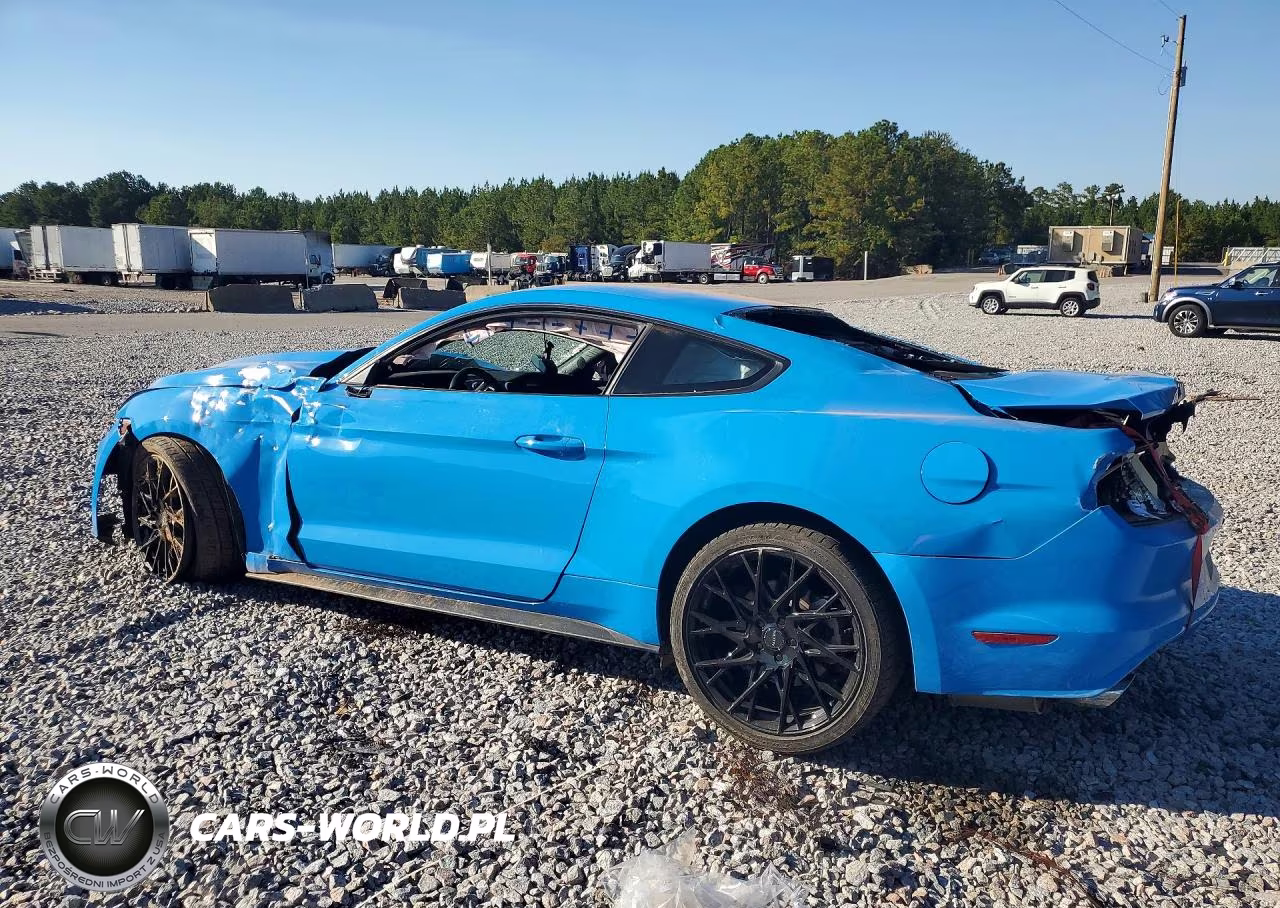 2017 Ford Mustang VIN:1FA6P8AM0H5322003 - 2