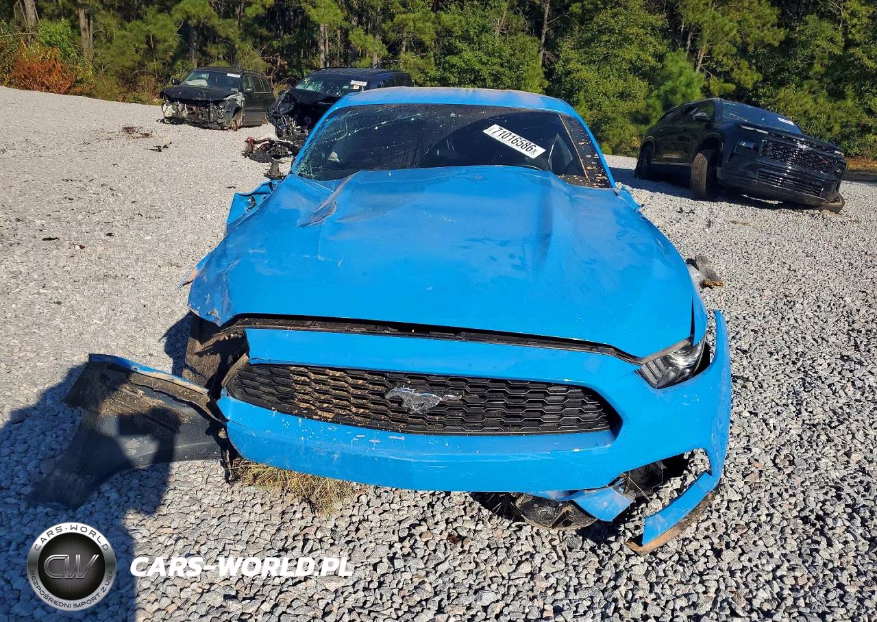 2017 Ford Mustang VIN:1FA6P8AM0H5322003 - 5