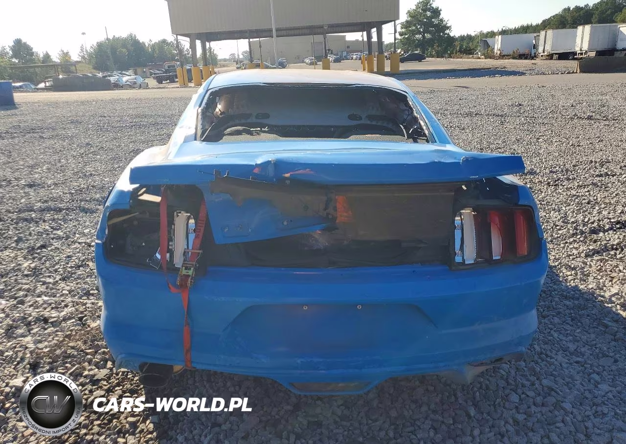 2017 Ford Mustang VIN:1FA6P8AM0H5322003 - 6