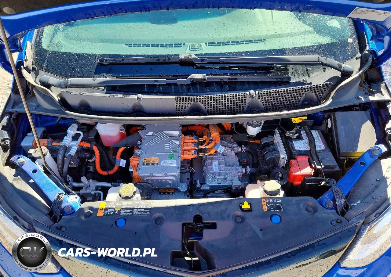 2017 Chevrolet Bolt Ev Lt VIN:1G1FW6S09H4170394 - 11