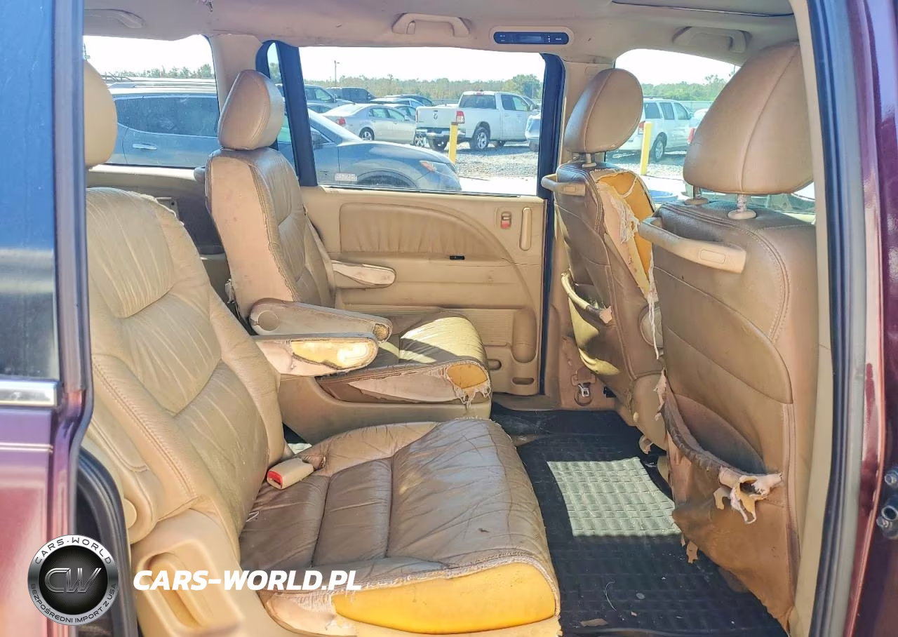 2009 Honda Odyssey Exl VIN:5FNRL38709B050865 - 10