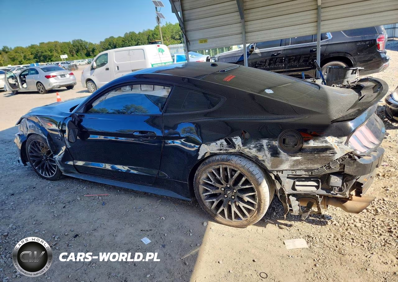 2019 Ford Mustang Gt VIN:1FA6P8CF9K5129029 - 2