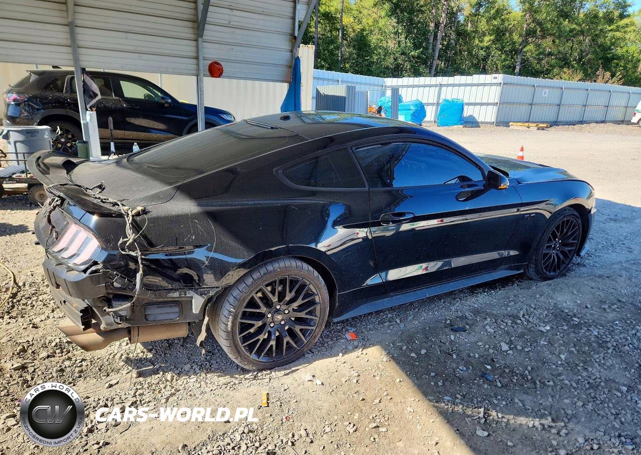 2019 Ford Mustang Gt VIN:1FA6P8CF9K5129029 - 3
