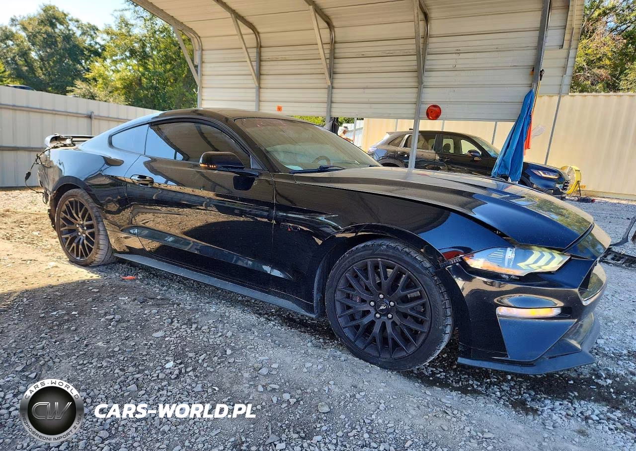 2019 Ford Mustang Gt VIN:1FA6P8CF9K5129029 - 4
