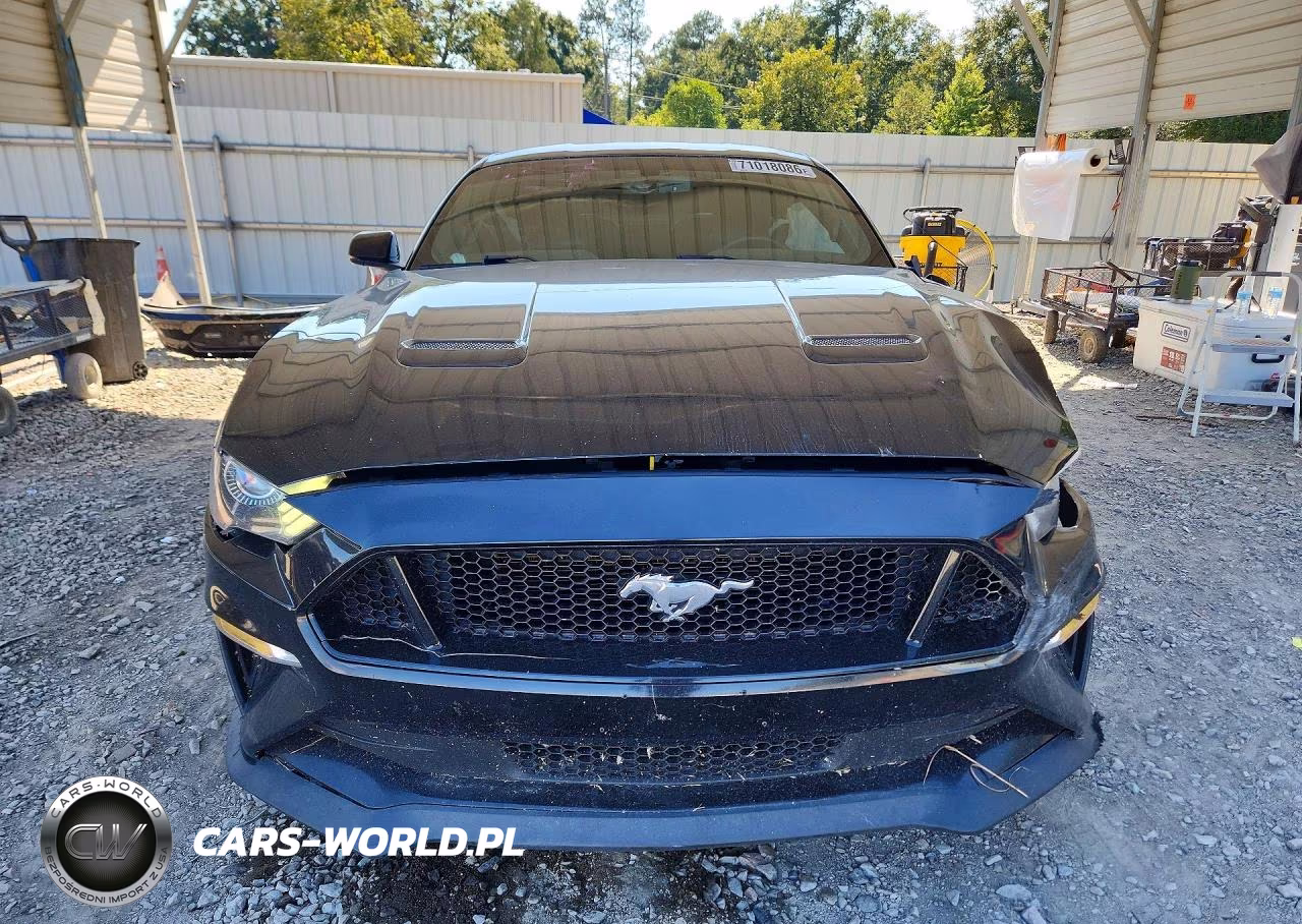 2019 Ford Mustang Gt VIN:1FA6P8CF9K5129029 - 5