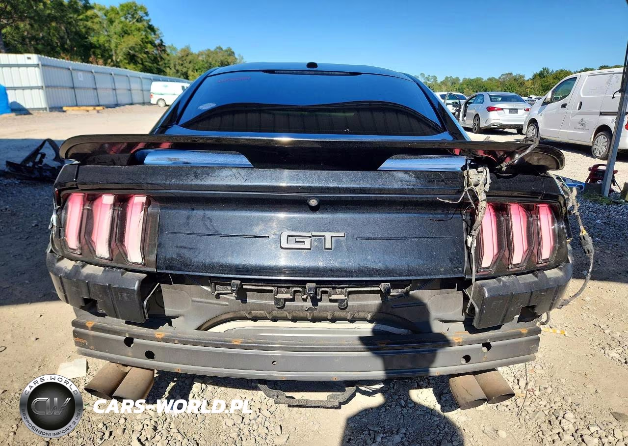 2019 Ford Mustang Gt VIN:1FA6P8CF9K5129029 - 6
