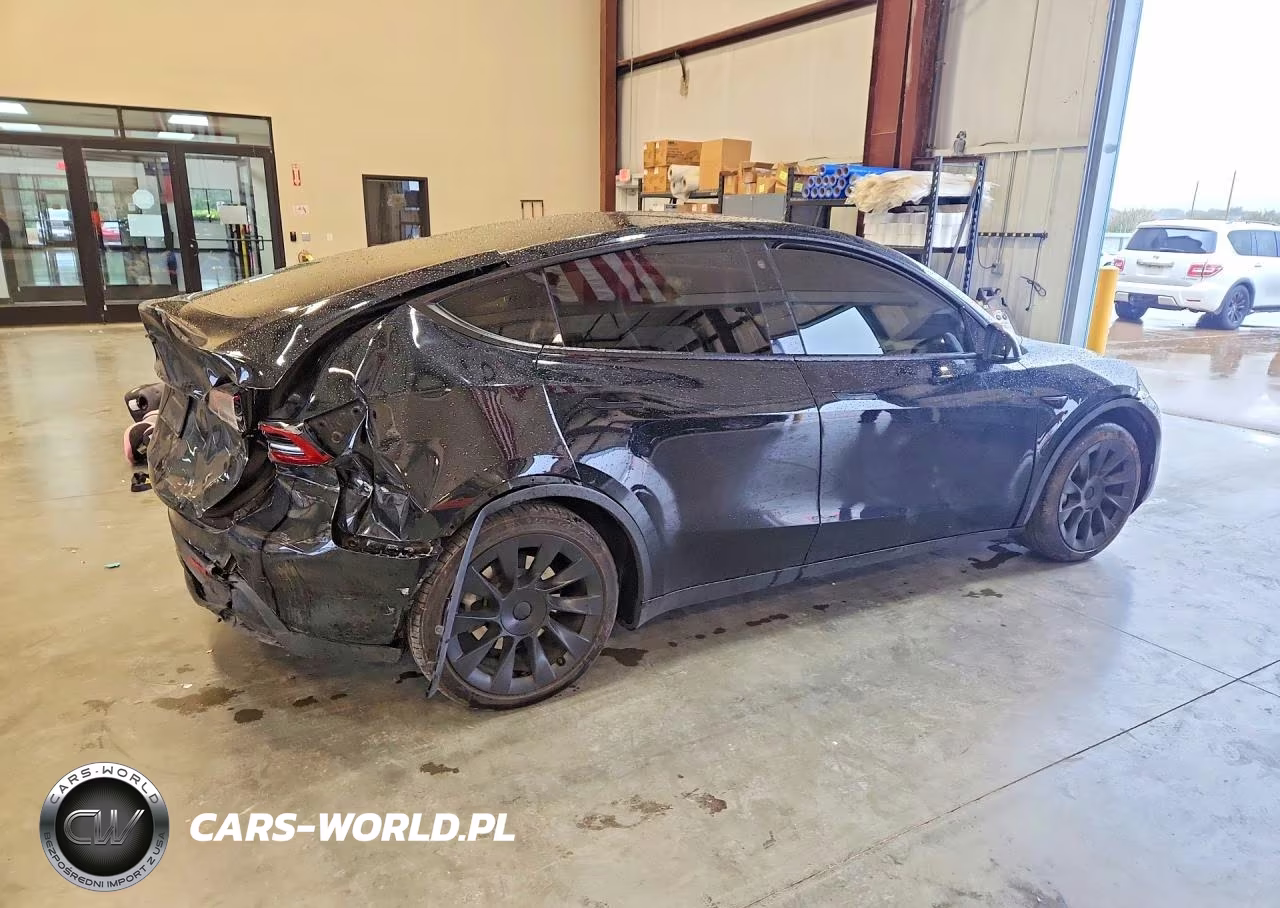2023 Tesla Model Y VIN:7SAYGAEE2PF592105 - 3