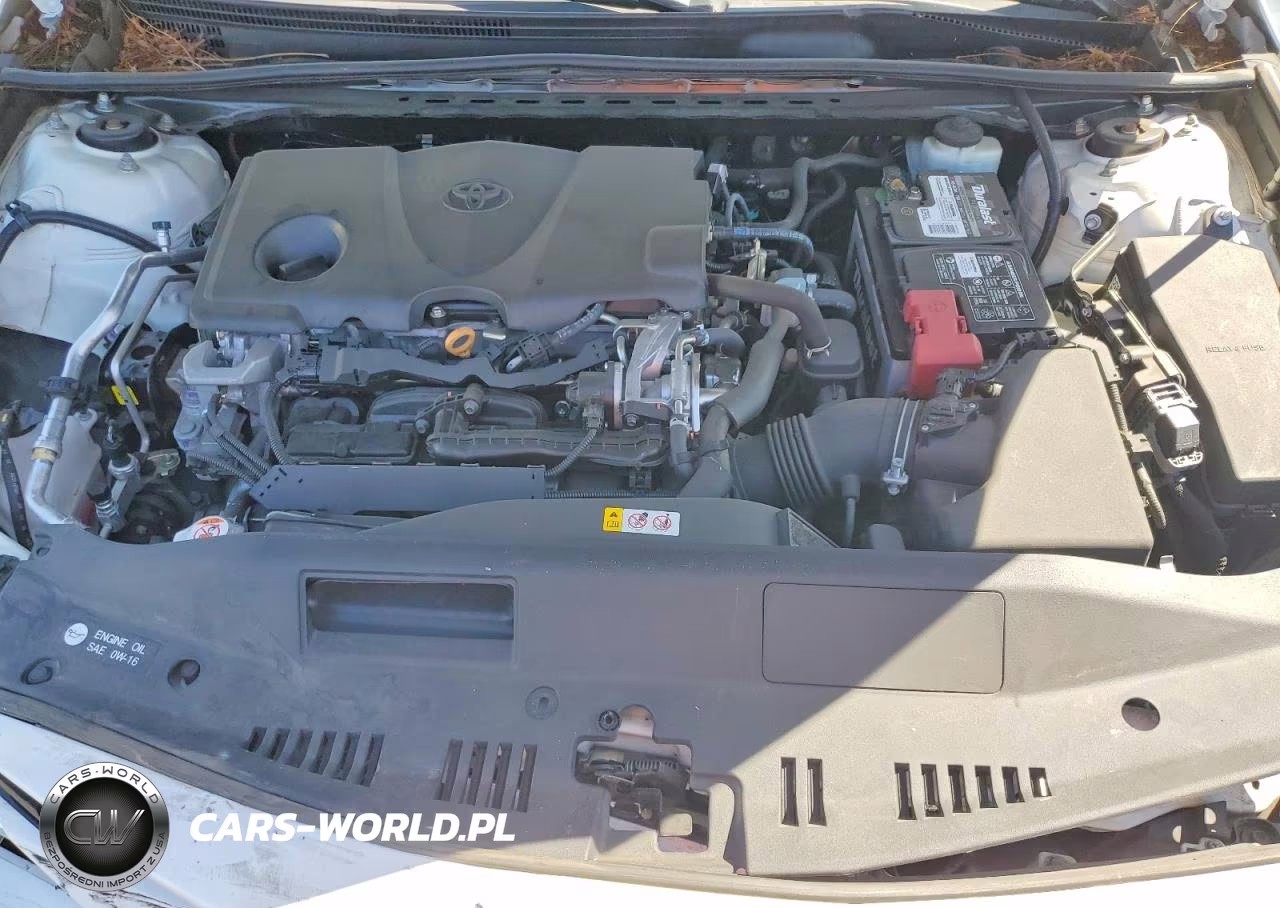 2019 Toyota Camry Le VIN:4T1B11HK7KU737964 - 11
