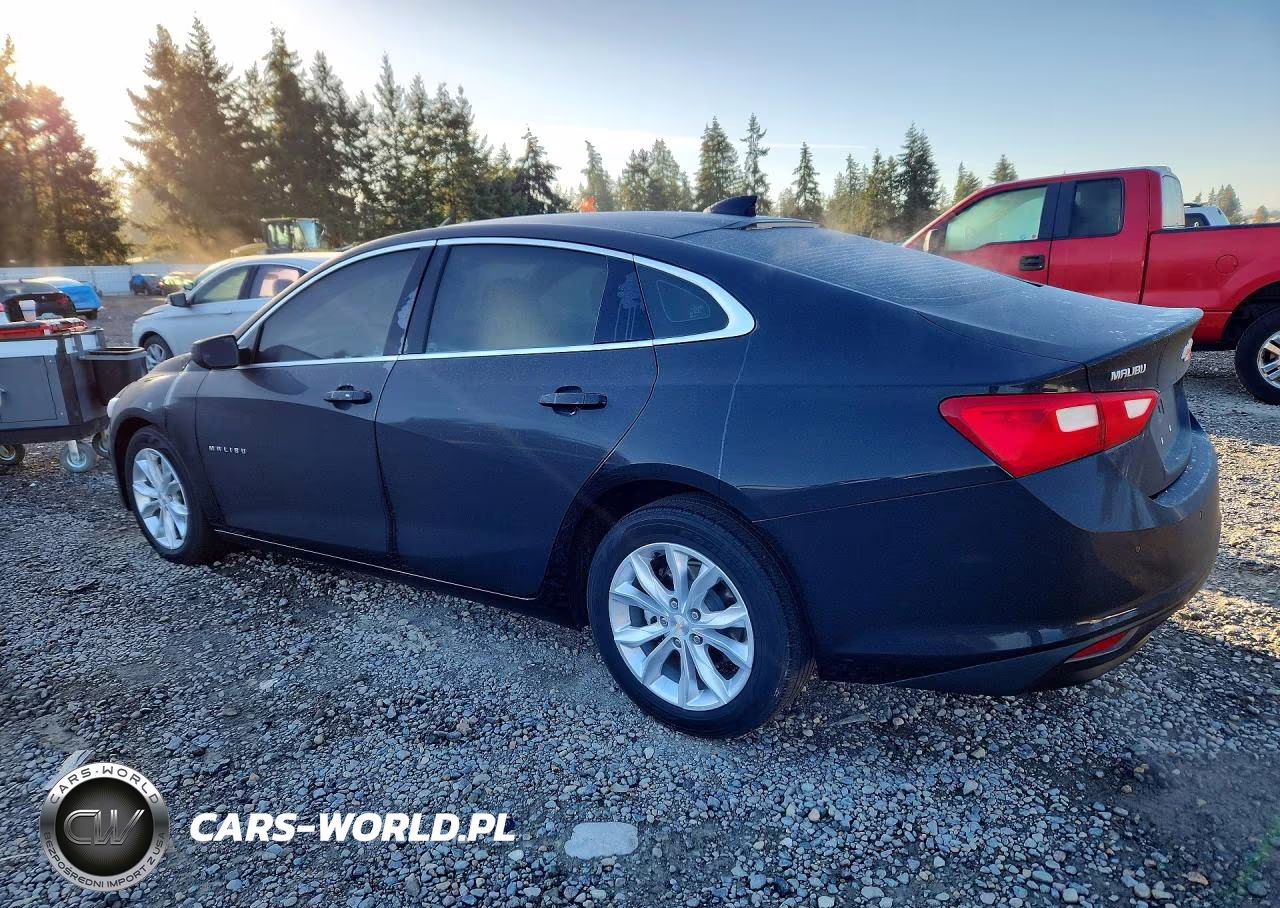 2024 Chevrolet Malibu Lt VIN:1G1ZD5ST7RF156197 - 2