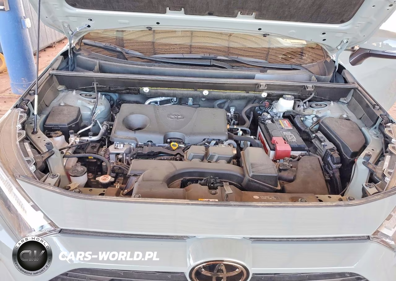 2023 Toyota Rav4 Xle VIN:JTMW1RFV2PD106497 - 11