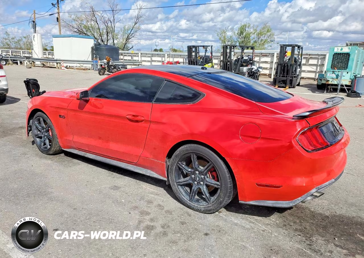 2019 Ford Mustang Gt VIN:1FA6P8CF1K5117909 - 2
