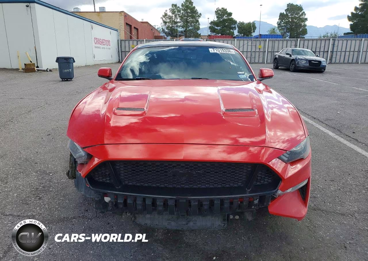 2019 Ford Mustang Gt VIN:1FA6P8CF1K5117909 - 5