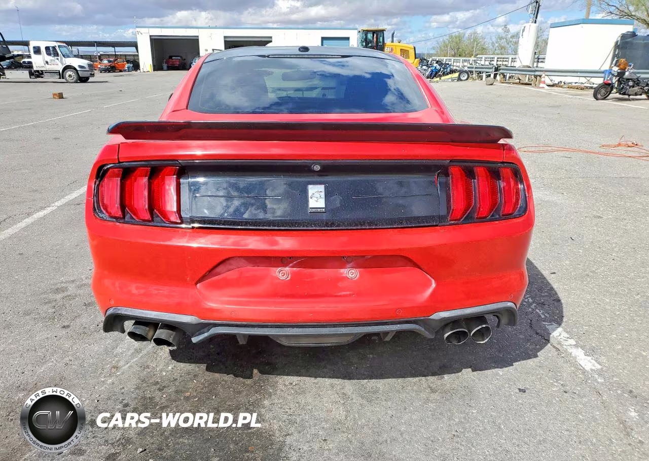 2019 Ford Mustang Gt VIN:1FA6P8CF1K5117909 - 6