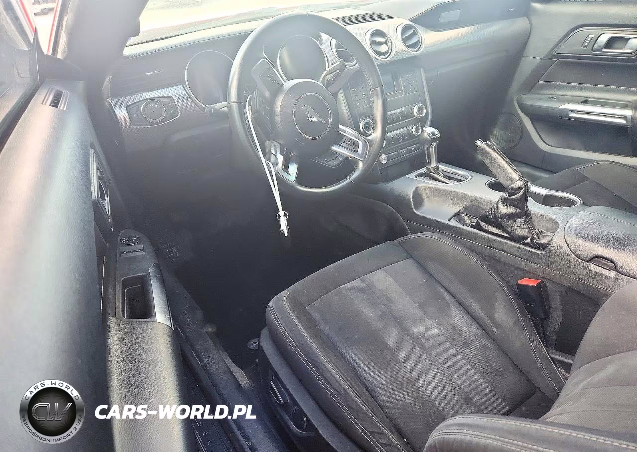 2019 Ford Mustang Gt VIN:1FA6P8CF1K5117909 - 8