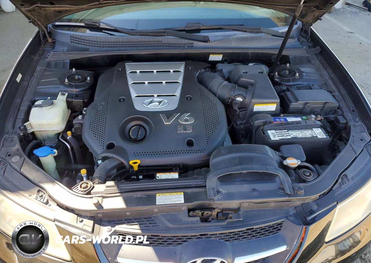 2007 Hyundai Sonata Se VIN:5NPEU46F97H219243 - 11