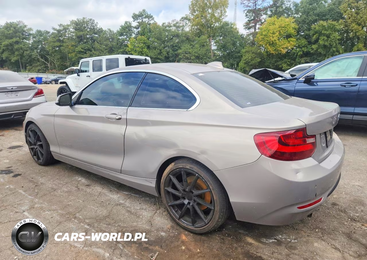 2016 BMW 228 Xi Sulev VIN:WBA1G9C50GV599326 - 2