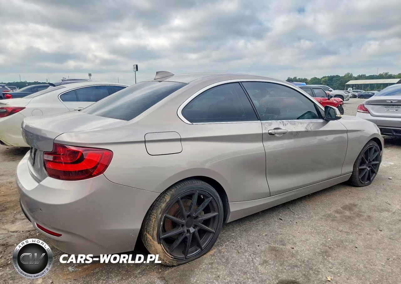 2016 BMW 228 Xi Sulev VIN:WBA1G9C50GV599326 - 3