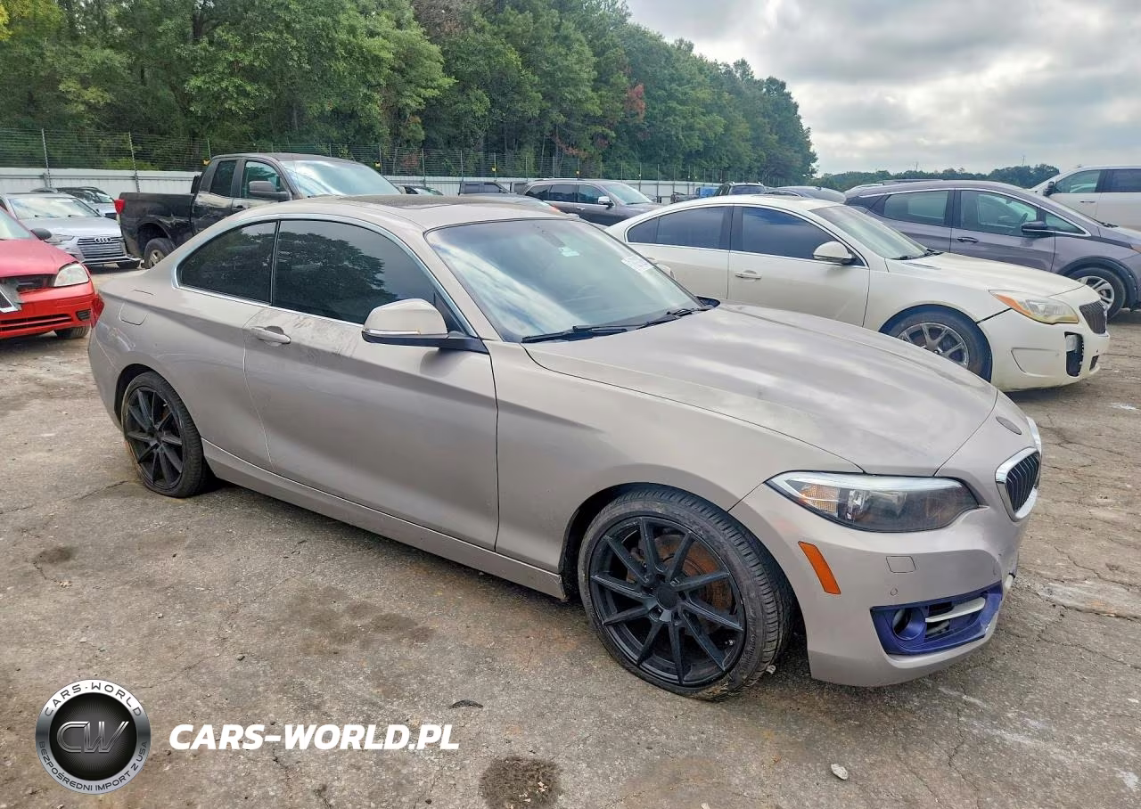 2016 BMW 228 Xi Sulev VIN:WBA1G9C50GV599326 - 4