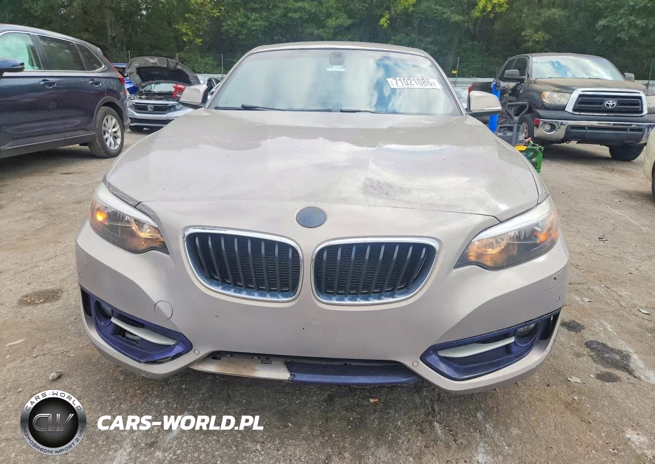 2016 BMW 228 Xi Sulev VIN:WBA1G9C50GV599326 - 5
