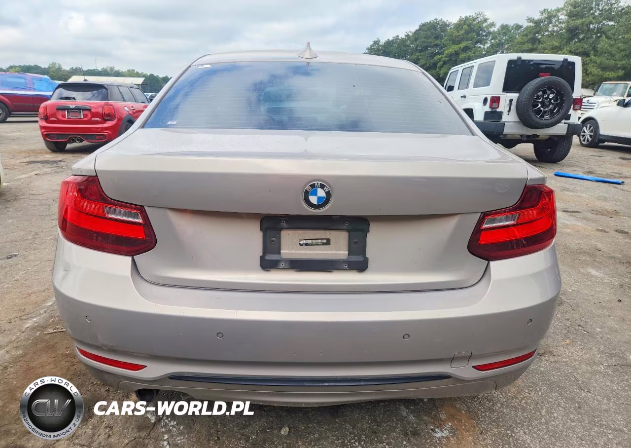 2016 BMW 228 Xi Sulev VIN:WBA1G9C50GV599326 - 6