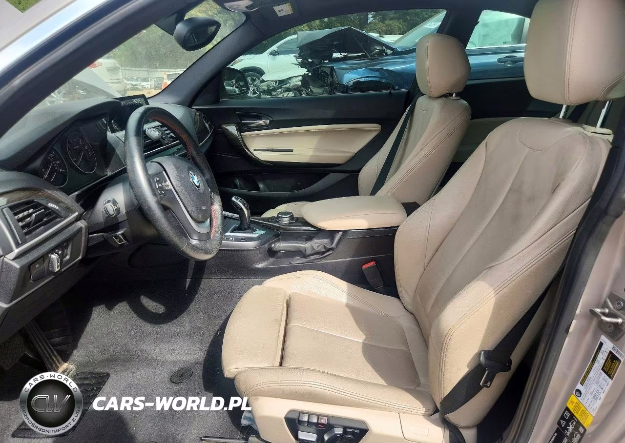 2016 BMW 228 Xi Sulev VIN:WBA1G9C50GV599326 - 7