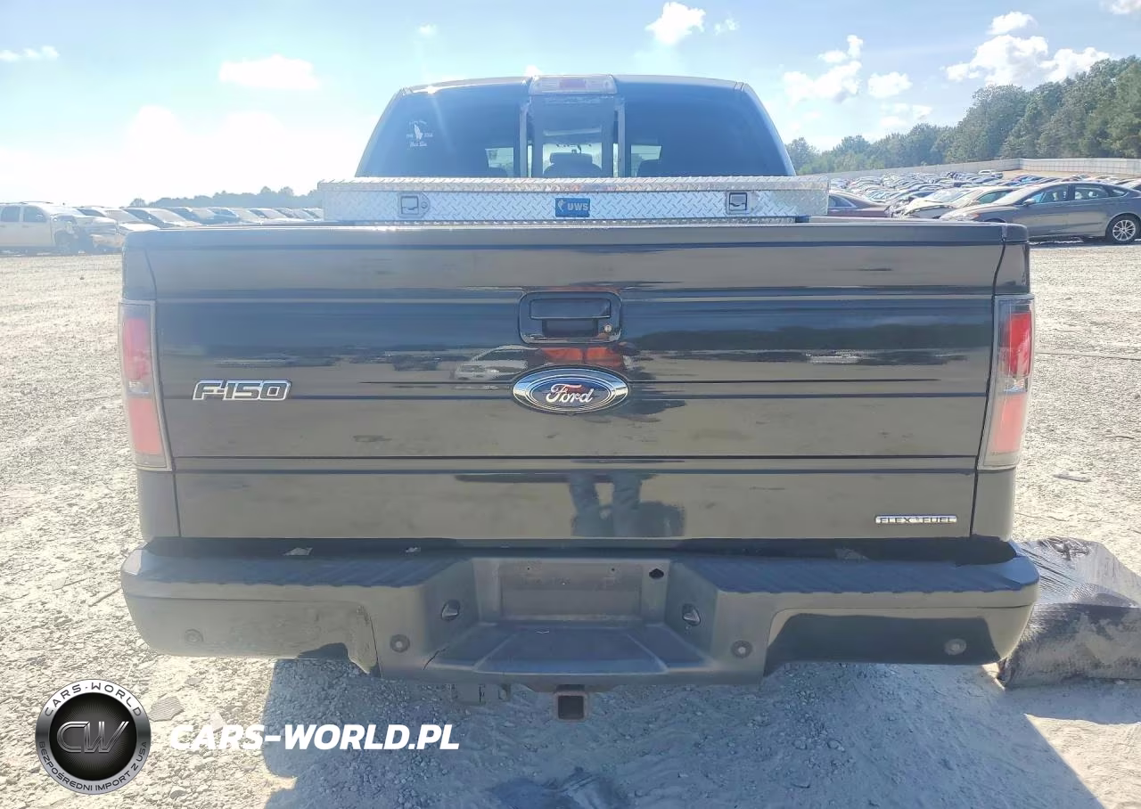 2011 Ford F150 Supercrew VIN:1FTFW1EF5BFB28679 - 6
