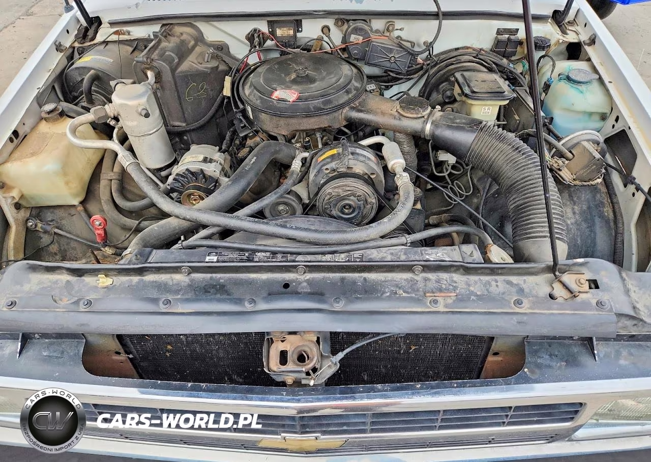 1991 Chevrolet S Truck S10 VIN:1GCCS19R1M2301210 - 11