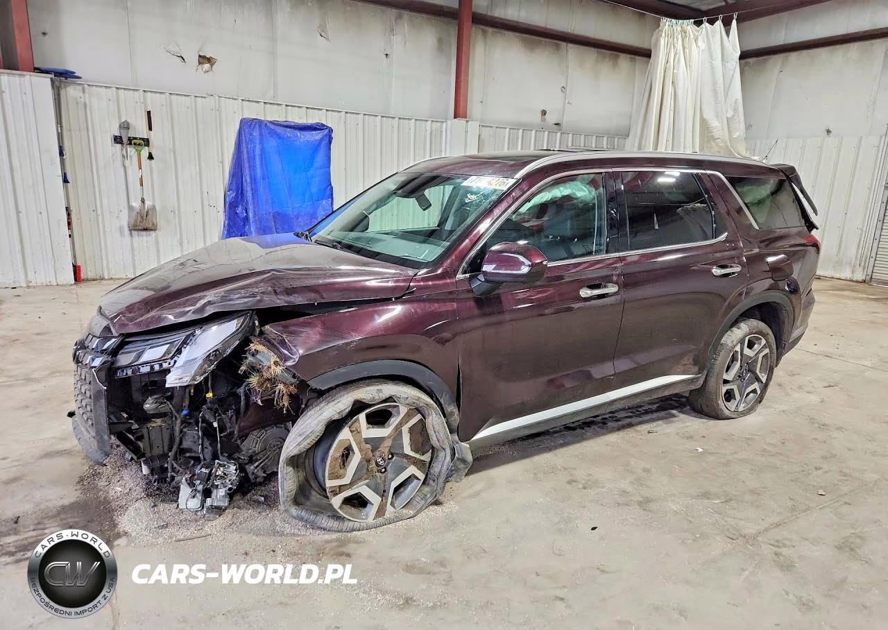 2025 Hyundai Palisade Sel Premium VIN:KM8R4DGEXSU823675 - 1