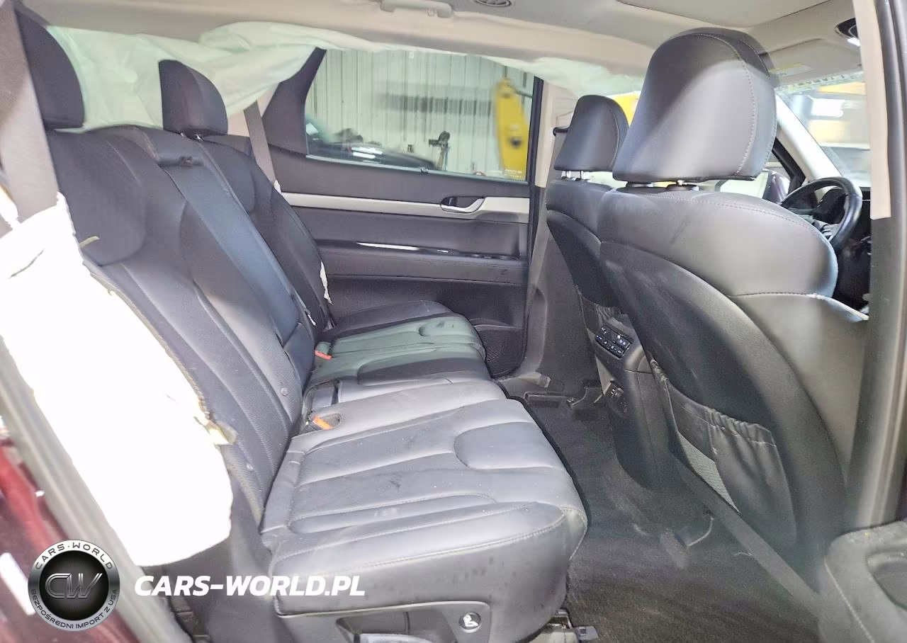 2025 Hyundai Palisade Sel Premium VIN:KM8R4DGEXSU823675 - 11