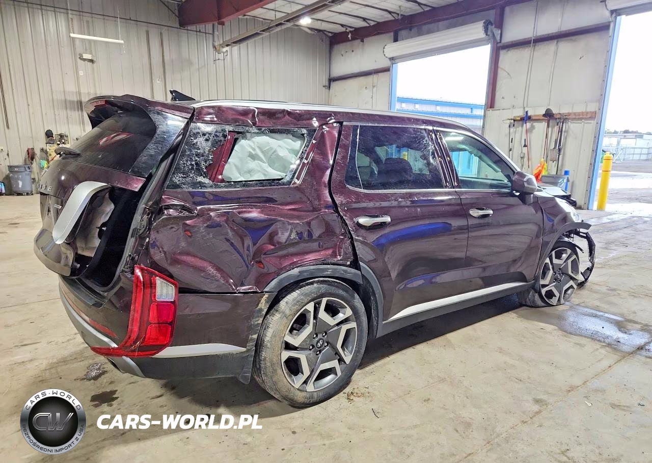 2025 Hyundai Palisade Sel Premium VIN:KM8R4DGEXSU823675 - 3