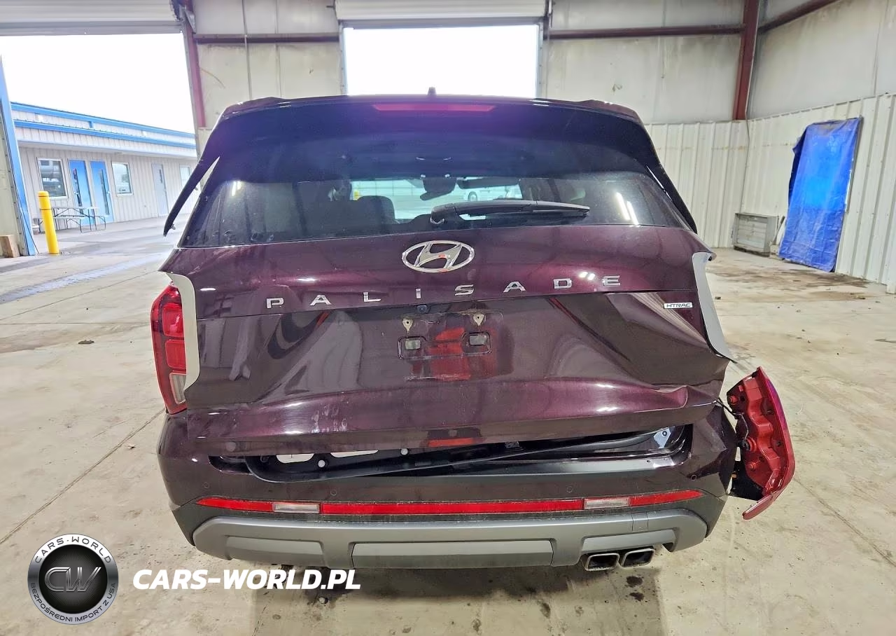 2025 Hyundai Palisade Sel Premium VIN:KM8R4DGEXSU823675 - 6