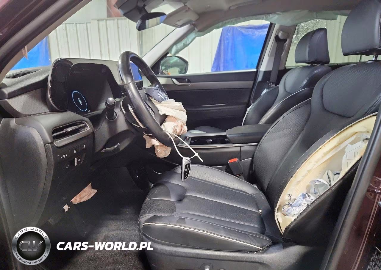 2025 Hyundai Palisade Sel Premium VIN:KM8R4DGEXSU823675 - 7