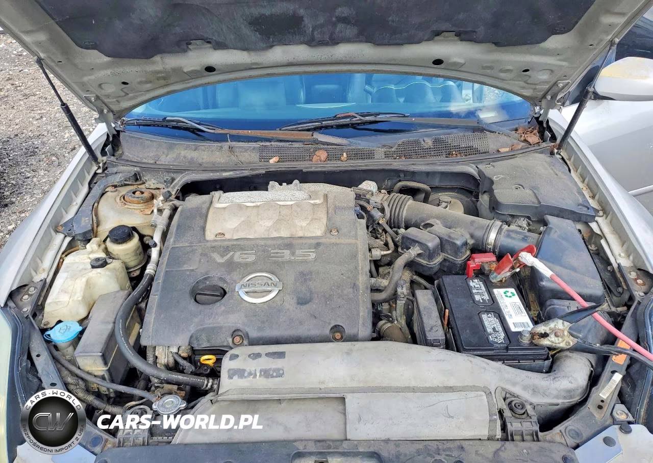 2005 Nissan Maxima 3.5 Se VIN:1N4BA41E35C845430 - 11