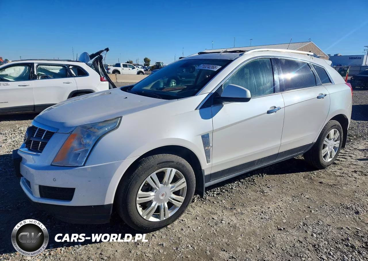 2010 Cadillac Srx Luxury Collection VIN:3GYFNDEY5AS606870 - 1