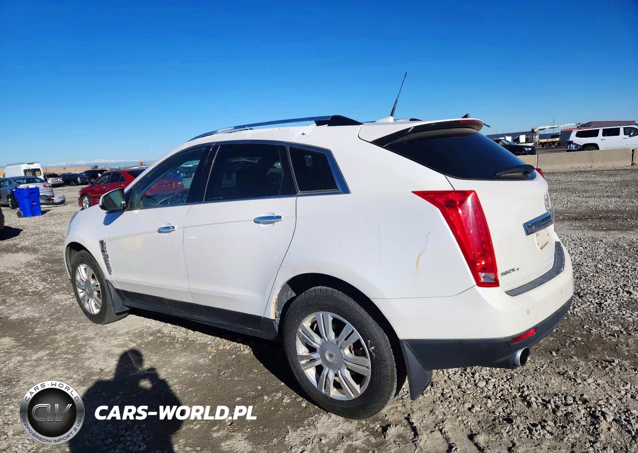 2010 Cadillac Srx Luxury Collection VIN:3GYFNDEY5AS606870 - 2