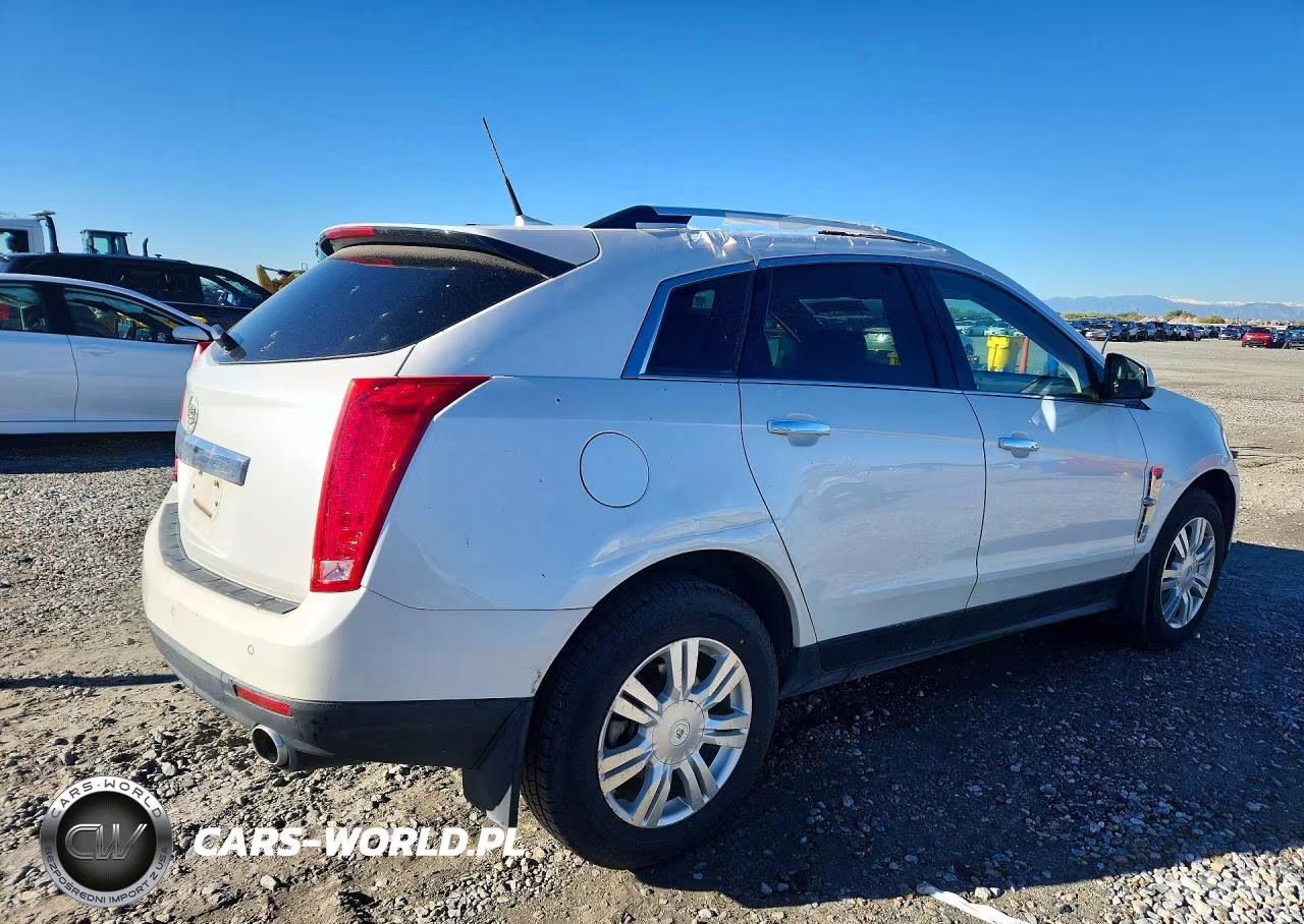 2010 Cadillac Srx Luxury Collection VIN:3GYFNDEY5AS606870 - 3