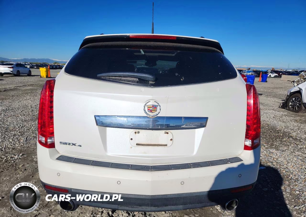 2010 Cadillac Srx Luxury Collection VIN:3GYFNDEY5AS606870 - 6