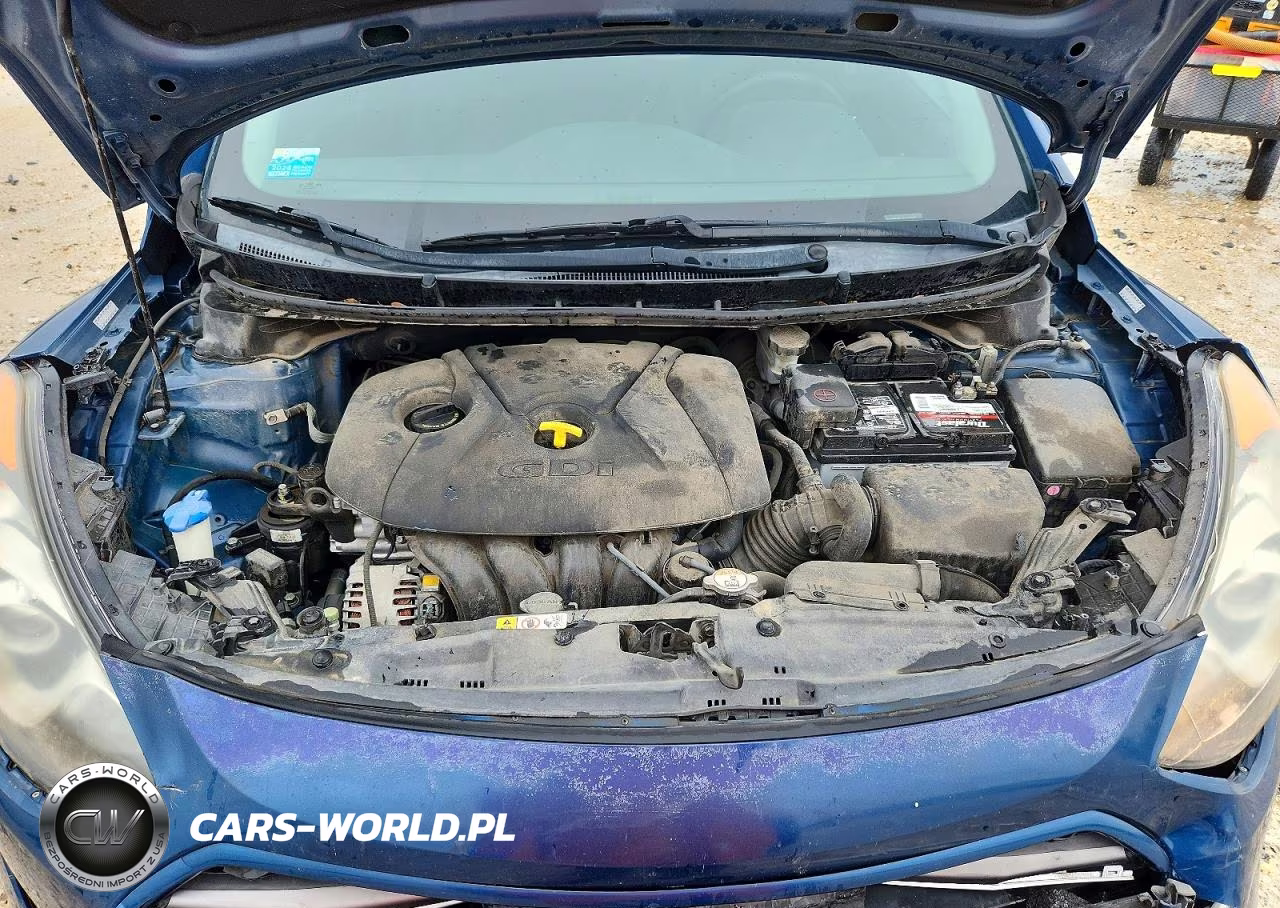 2016 Hyundai Elantra Gt Base VIN:KMHD35LH5GU265762 - 11