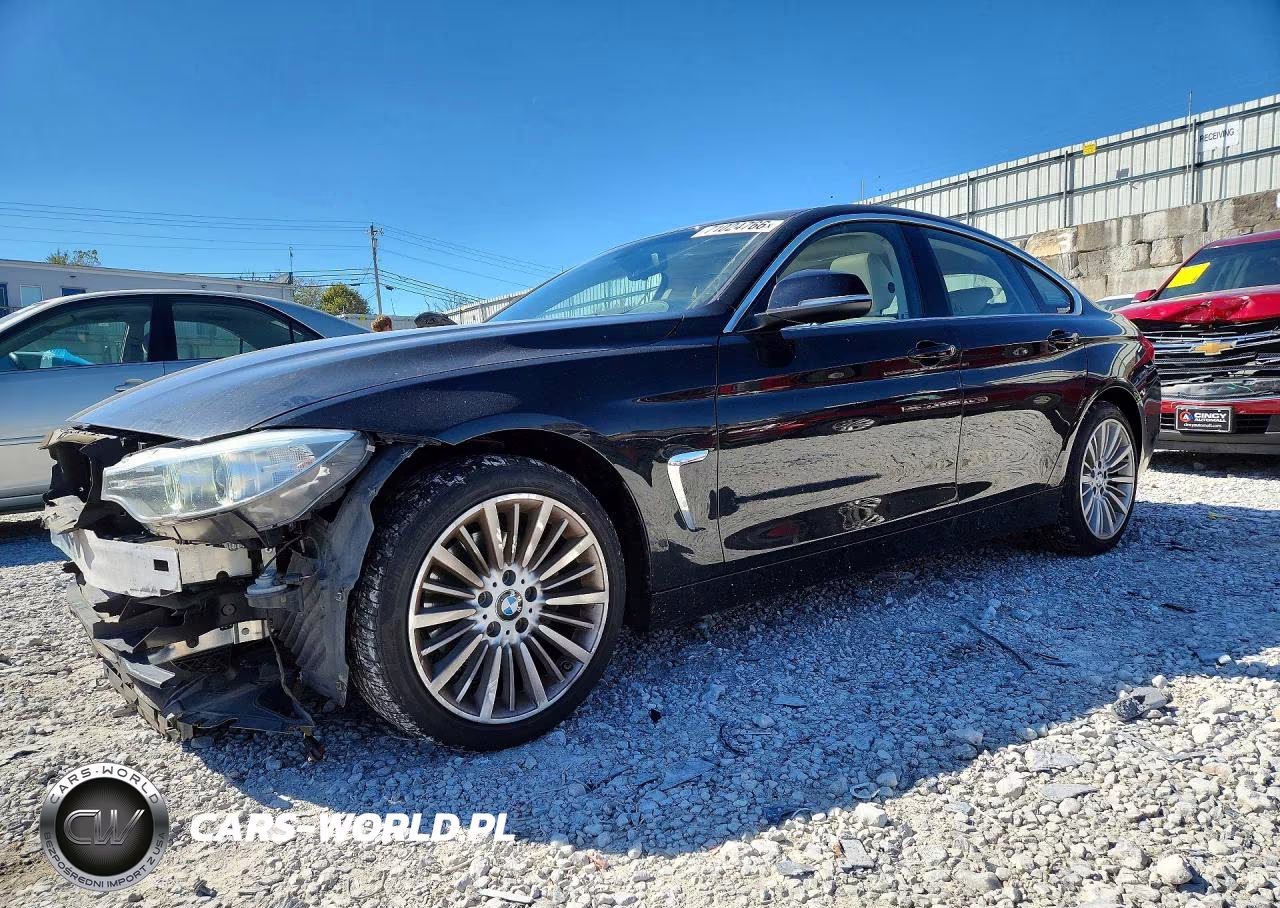 2015 BMW 428 Xi Gran Coupe Sulev VIN:WBA4C9C58FD330066 - 1