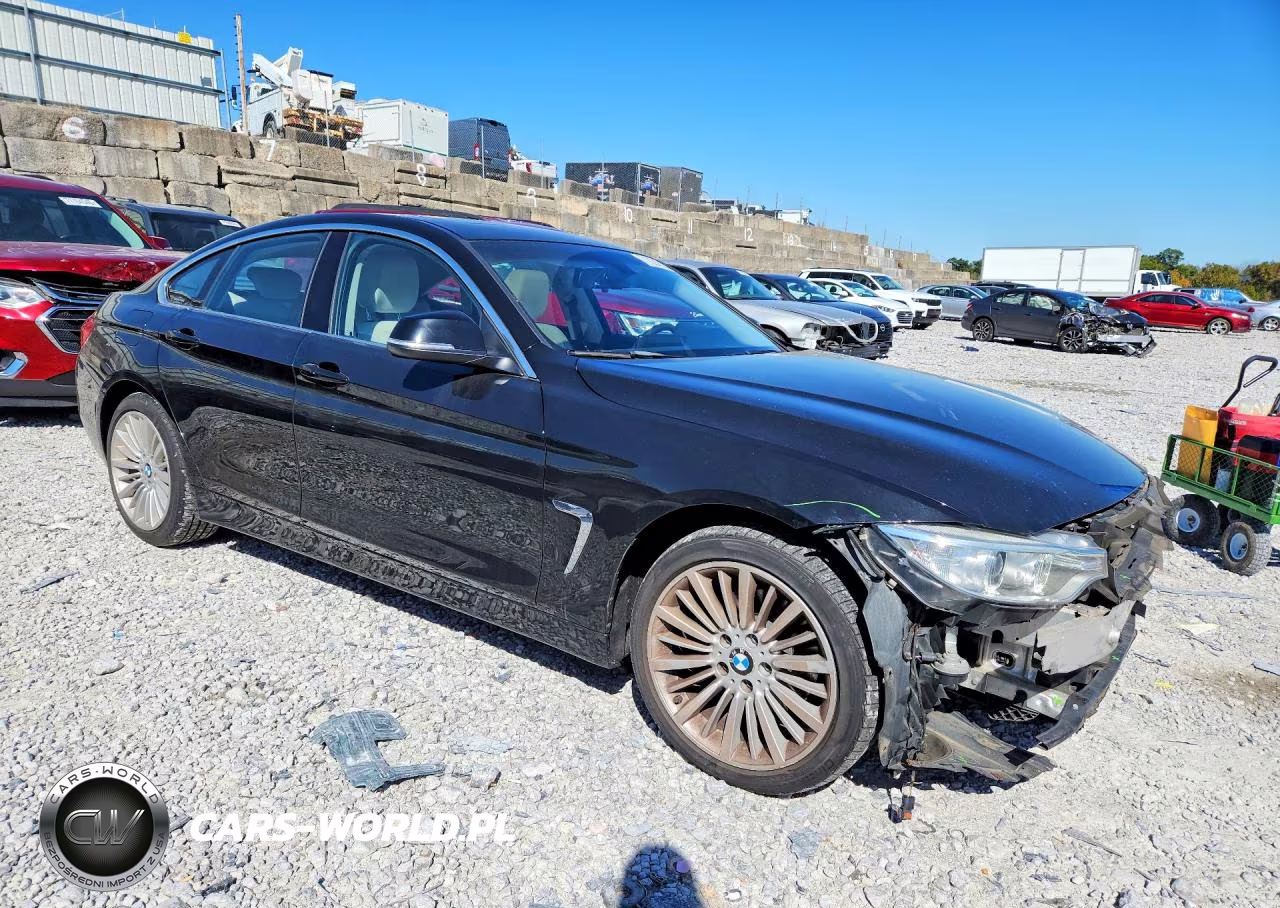 2015 BMW 428 Xi Gran Coupe Sulev VIN:WBA4C9C58FD330066 - 4